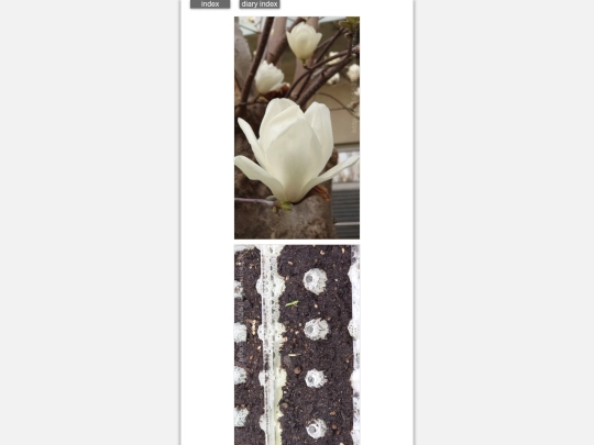 2026/blog2026mar13 screenshot