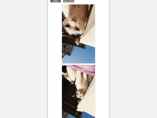 2026/blog2026mar15 screenshot