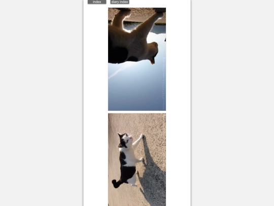 2026/blog2026mar21 screenshot