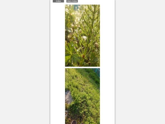 2026/blog2026mar24 screenshot