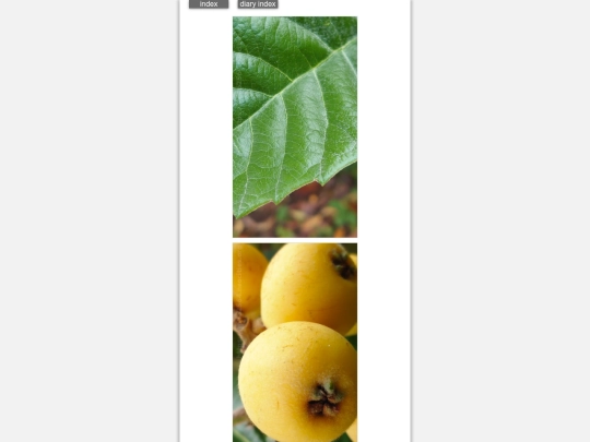 2026/blog2026may22 screenshot