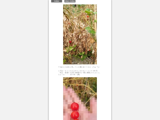 2026/blog2026sep2 screenshot