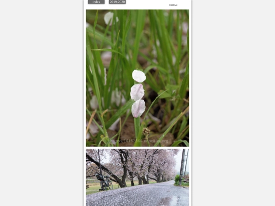 ame2020apr2 screenshot