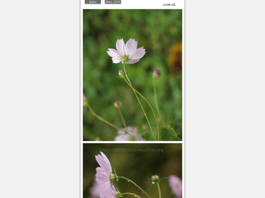 ame2020oct01 screenshot