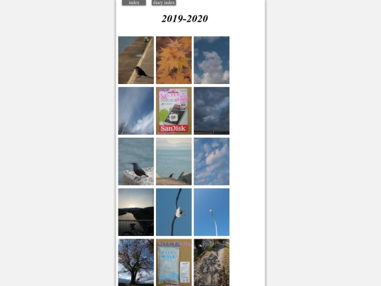diary 2020 screenshot