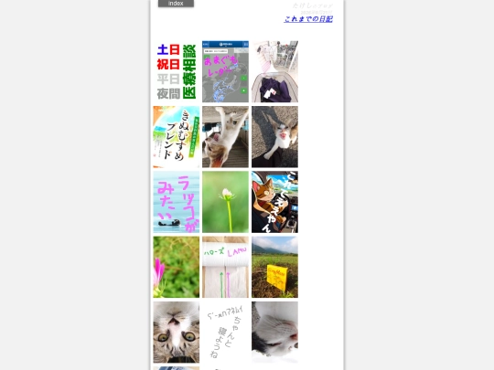 diaryindex screenshot