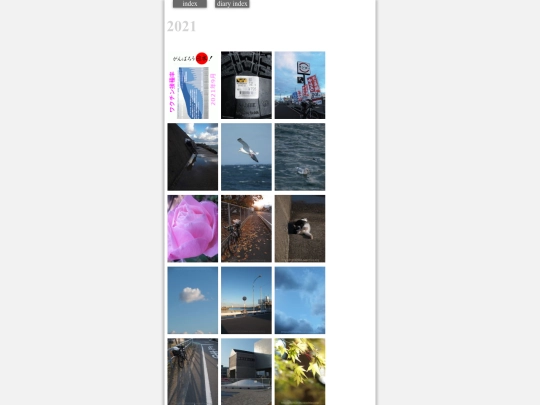 diaryindex2021 screenshot