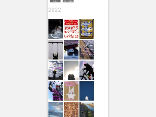 diaryindex2022 screenshot