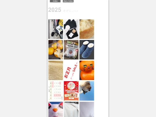 diaryindex2025 screenshot