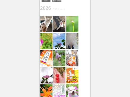 diaryindex2026 screenshot