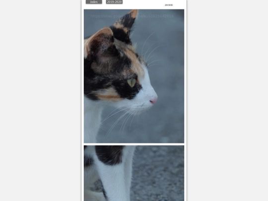 hare2019aug2 screenshot