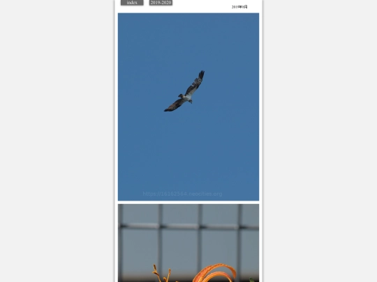 hare2019aug3 screenshot