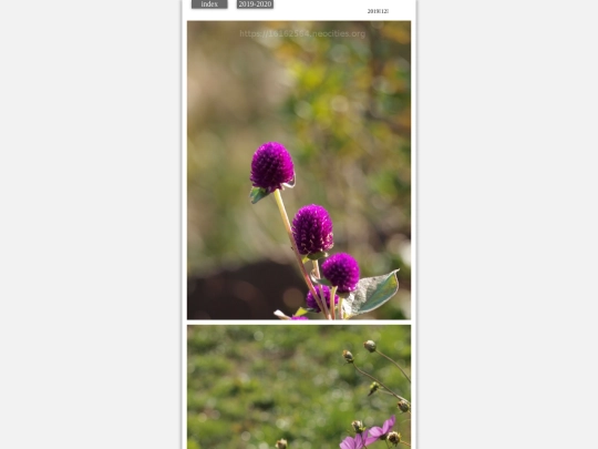 hare2019dec1 screenshot