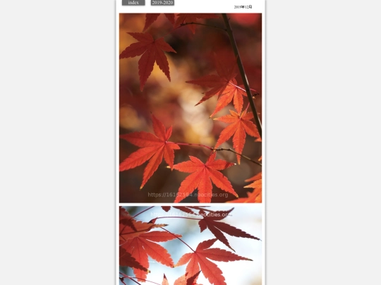 hare2019dec2 screenshot