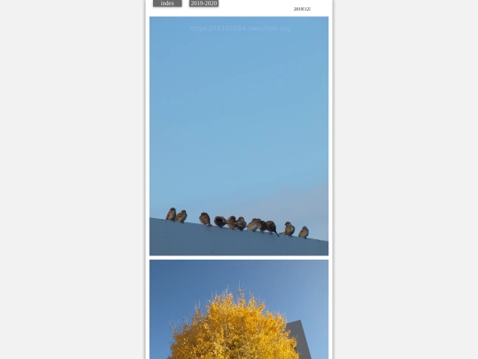 hare2019dec6 screenshot