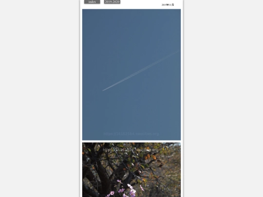 hare2019nov1 screenshot