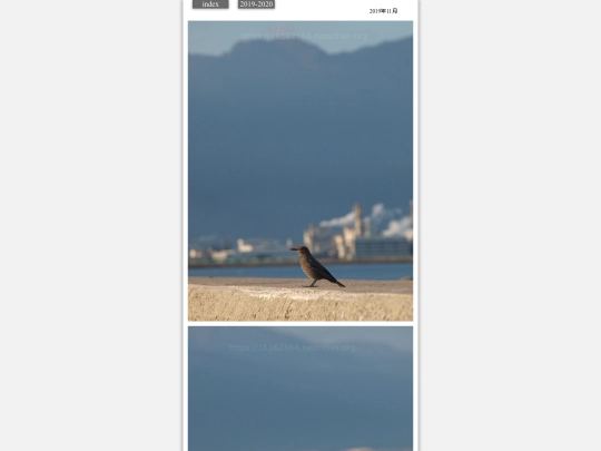 hare2019nov2 screenshot
