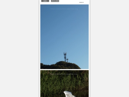 hare2019nov3 screenshot