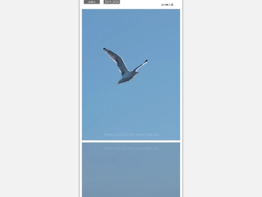 hare2019nov7 screenshot