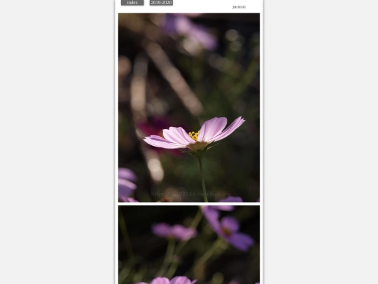 hare2019oct1 screenshot