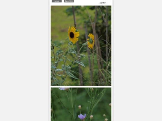 hare2019sep3 screenshot