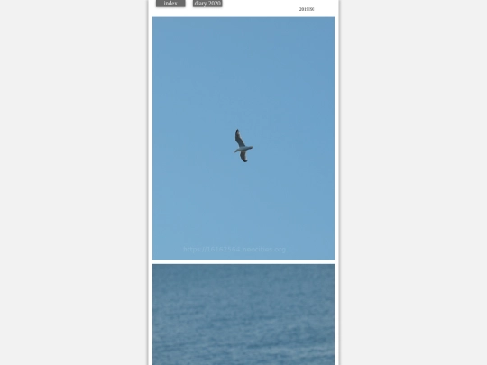 hare2019sep5 screenshot