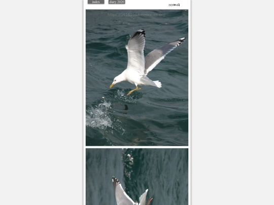 hare2020apr35 screenshot