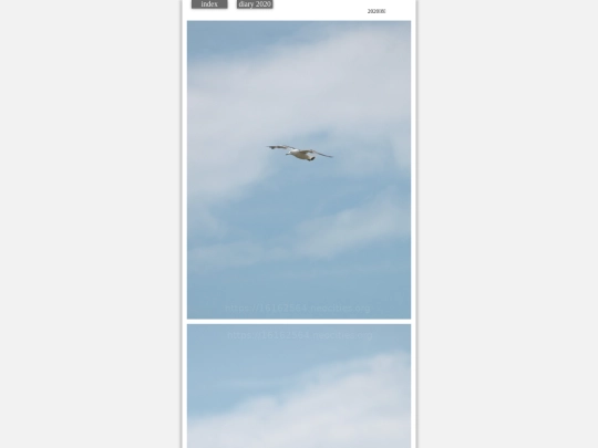 hare2020aug2 screenshot