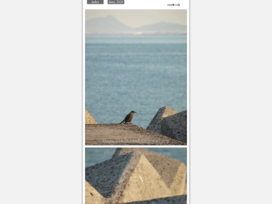 hare2020dec12 screenshot