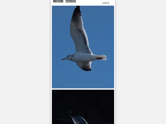 hare2020feb1 screenshot
