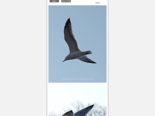hare2020feb2 screenshot