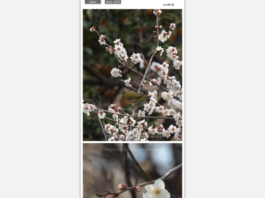 hare2020feb3 screenshot