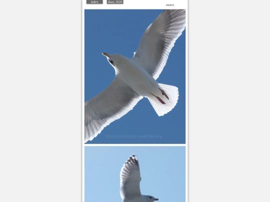 hare2020feb5 screenshot