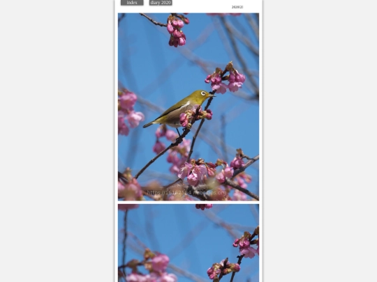 hare2020feb55 screenshot
