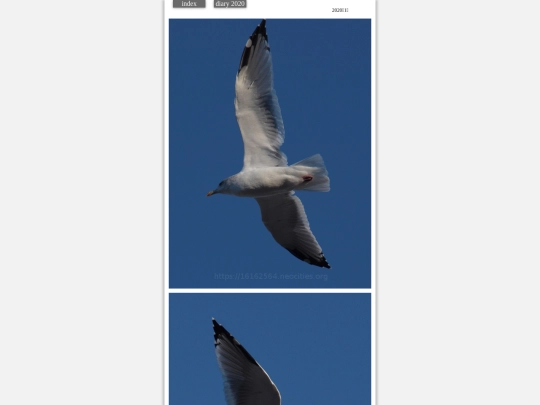 hare2020jan2 screenshot