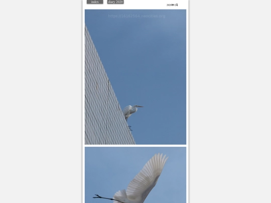 hare2020jan3 screenshot