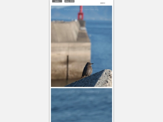 hare2020jan5 screenshot