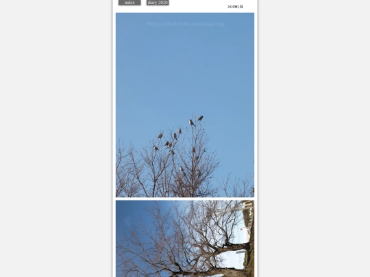 hare2020jan6 screenshot