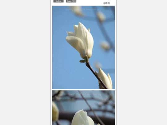 hare2020mar1 screenshot