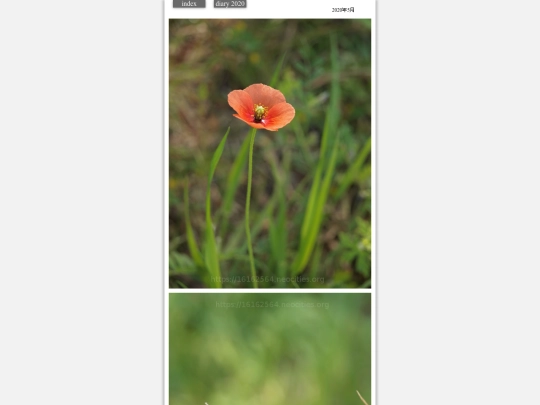 hare2020may12 screenshot