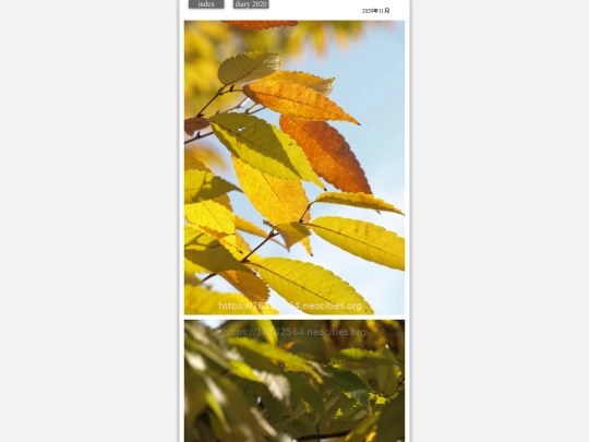 hare2020nov2 screenshot