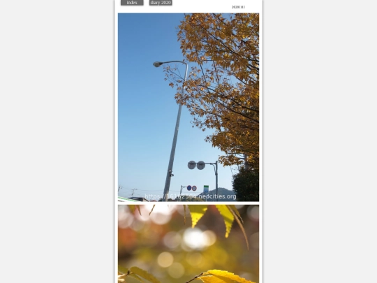 hare2020nov3 screenshot