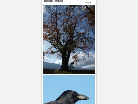 hare2020nov5 screenshot