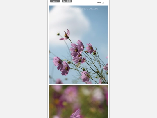 hare2020oct300 screenshot