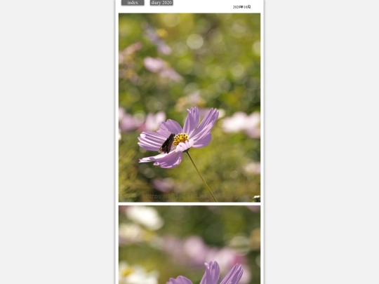 hare2020oct8 screenshot