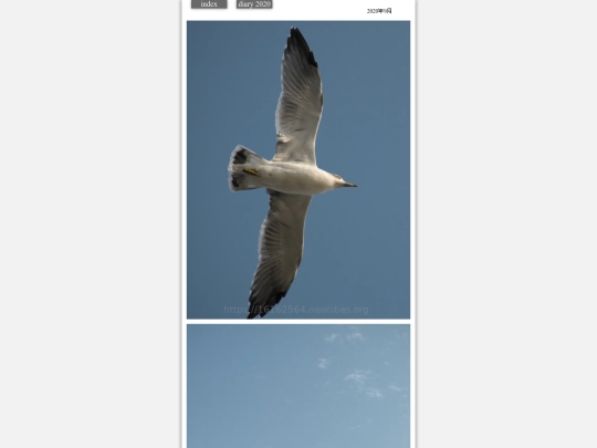 hare2020sep5 screenshot
