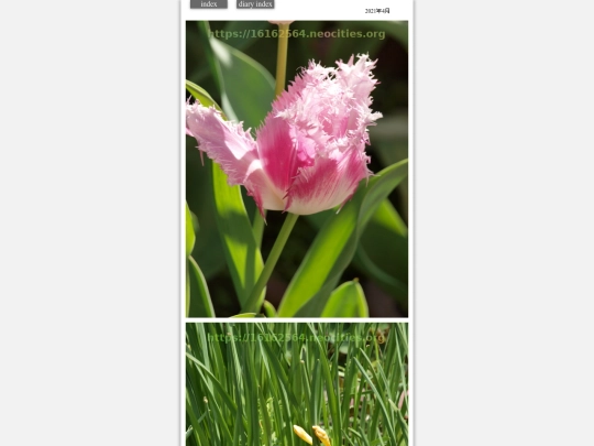 hare2021apr222 screenshot