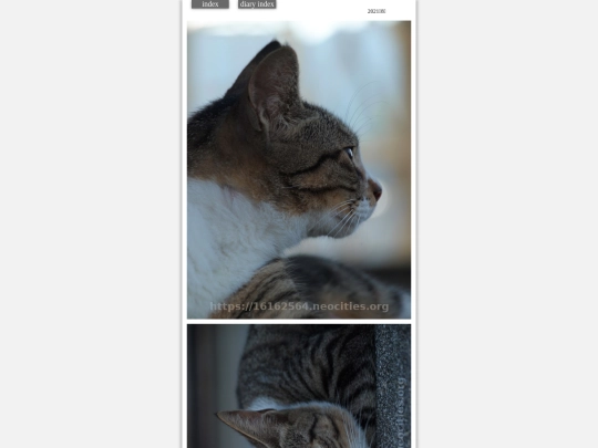 hare2021aug222 screenshot