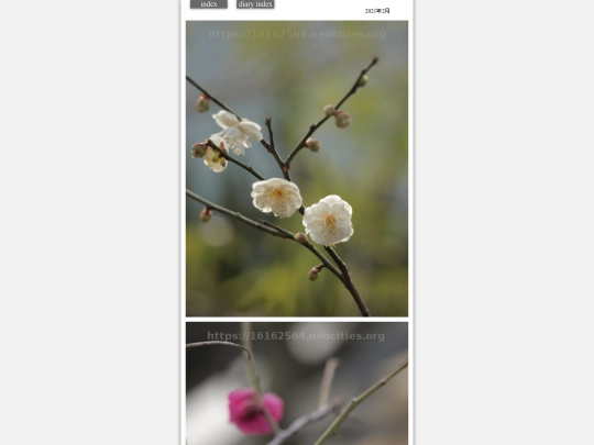 hare2021feb1 screenshot