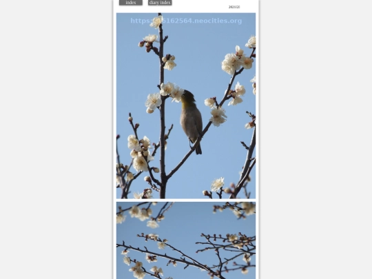 hare2021feb5 screenshot